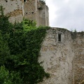 Burg Seebenstein (20060617 1028)